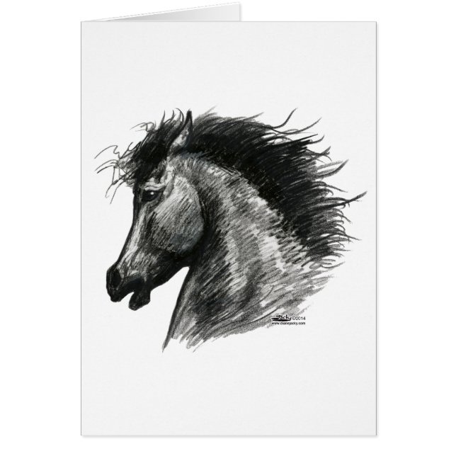 Caballo Salvaje Fiero (Frente)