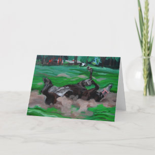 Caballo seco en blanco