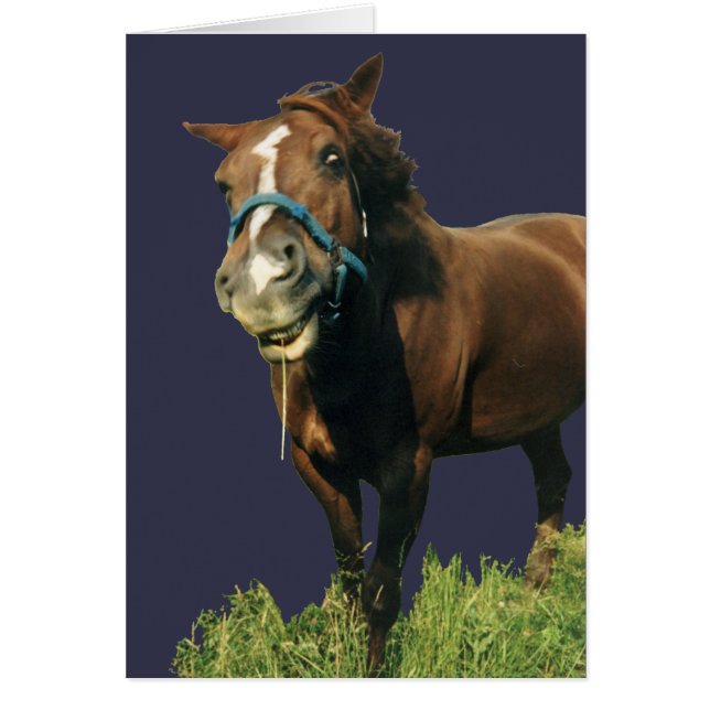 Caballo sonriente (Frente)