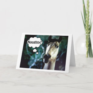CABALLO SORPRENDIDO=FUIMOS MALOS ANTES DE NAVIDAD