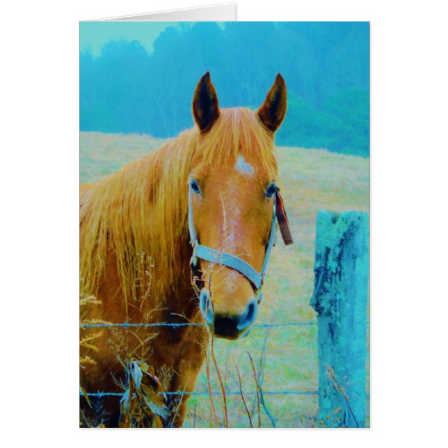 Caballo tintado de color azul denim (Frente)