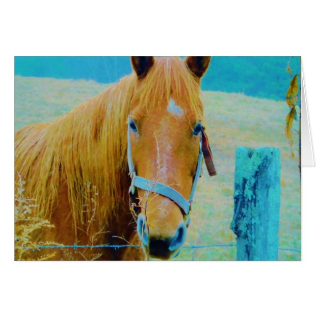 Caballo tintado de color azul denim (Anverso (Horizontal))