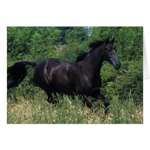 Caballo tostado corriendo en la hierba