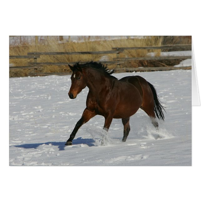 Caballo tostado corriendo en la nieve (Anverso (Horizontal))
