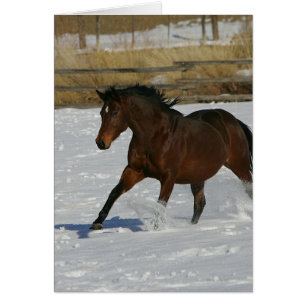 Caballo tostado corriendo en la nieve