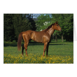 Caballo tostado en flores