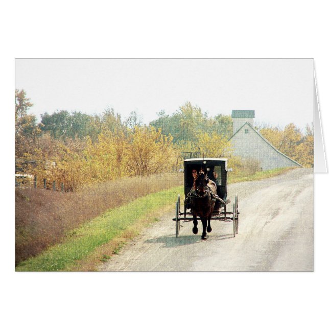 Caballo y buggy Amish de otoño (Anverso (Horizontal))