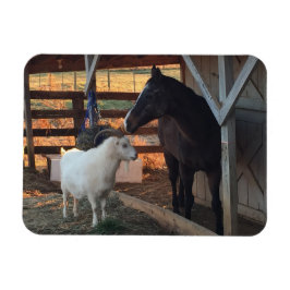 Caballo y cabra en el imán agrícola