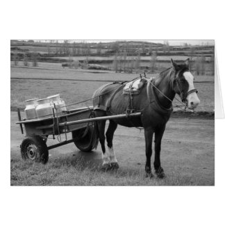 Caballo y carreta