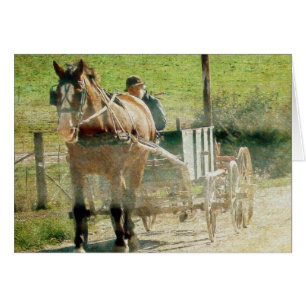 Caballo y carreta Amish