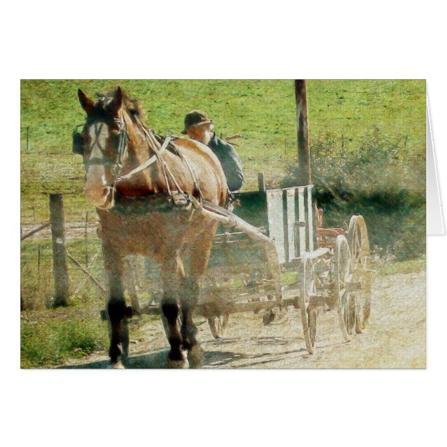 Caballo y carreta Amish (Anverso (Horizontal))