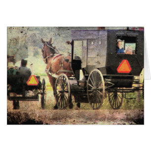 Caballo y cochecillo de Amish