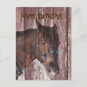 Caballo y granero mirando su tarjeta de felicitaci