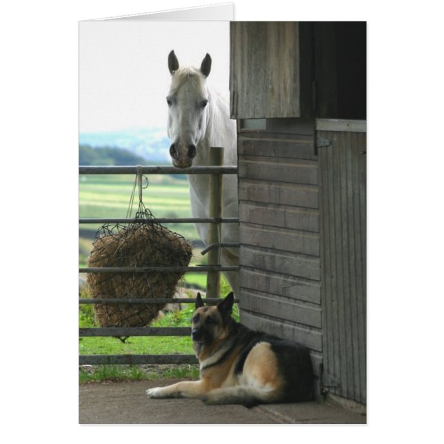 Caballo y perro (Frente)