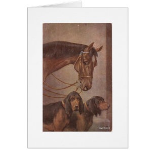 Caballo y perros
