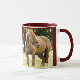 Caballo (yegua) en la taza del campo
