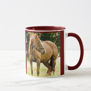 Caballo (yegua) en la taza del campo