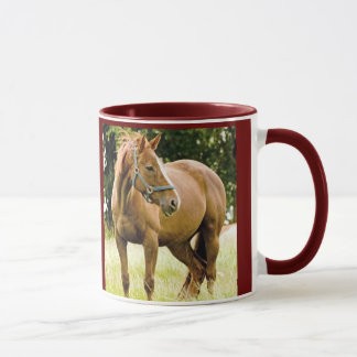 Caballo (yegua) en la taza del campo