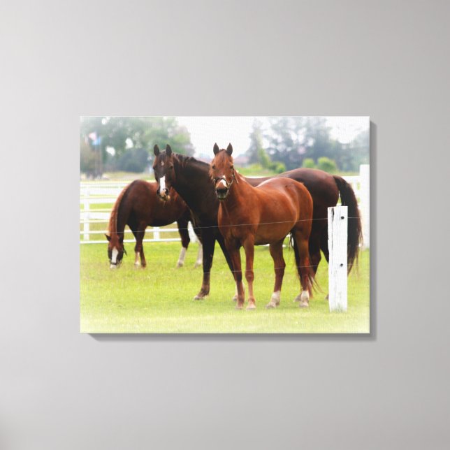 Caballos/Ajuste de lienzo (Anverso)