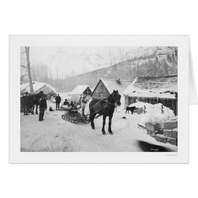 Caballos Alaska 1912 del rastro de Valdez (Anverso (Horizontal))