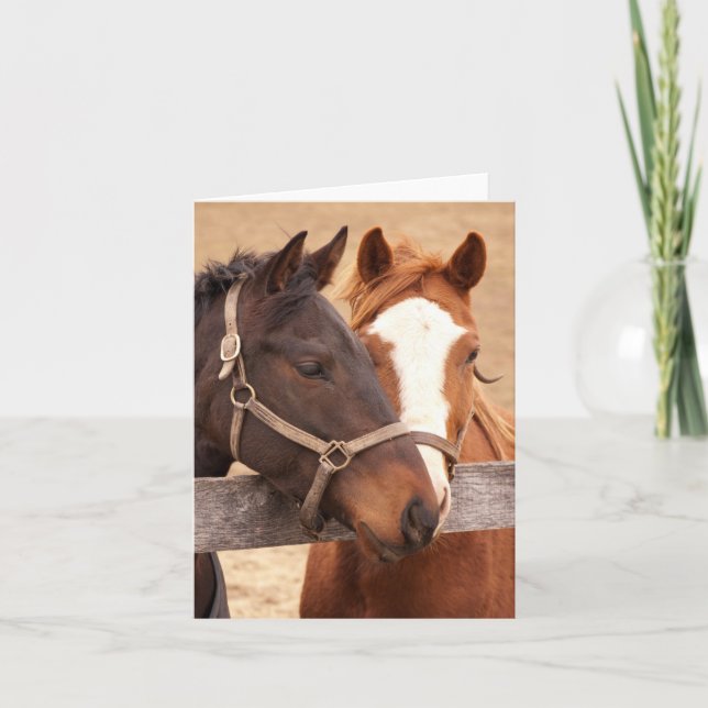 Caballos amorosos 4" x 5.6" Tarjeta de agradecimie (Anverso)