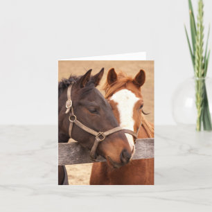 Caballos amorosos 4" x 5.6" Tarjeta de agradecimie