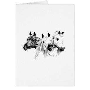 Caballos Árabes