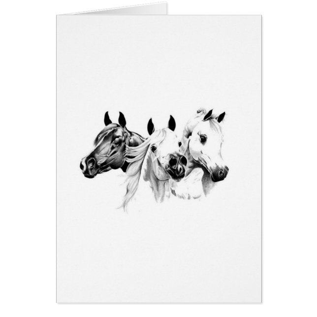 Caballos Árabes (Frente)
