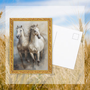 Caballos blancos con postal