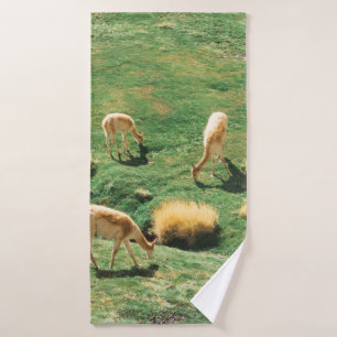 CABALLOS BLANCOS Y MARRONES SOBRE CAMPO VERDE