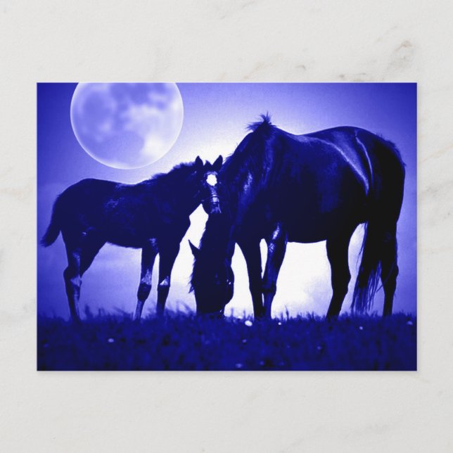 Caballos con postales nocturnas azules (Anverso)