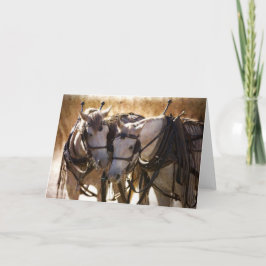 Caballos con tarjeta de felicitación para el mazo
