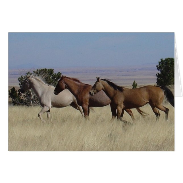 Caballos con tarjeta gratuita (Anverso (Horizontal))