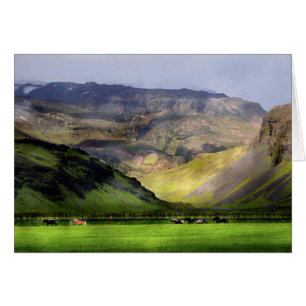 Caballos corrientes Islandia