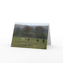 Caballos corrientes, tarjeta