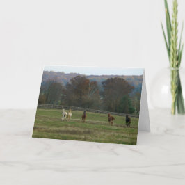 Caballos corrientes, tarjeta