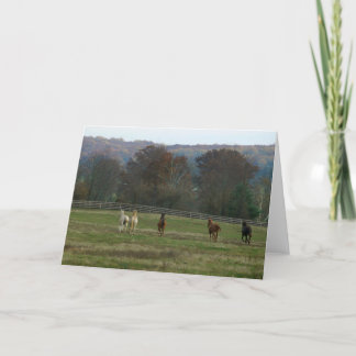 Caballos corrientes, tarjeta