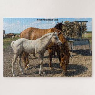 Caballos Cuarto de Milla Texas. Rompecabezas