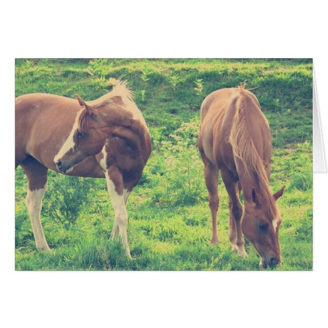 Caballos de afeitar (Anverso (Horizontal))