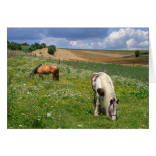 Caballos de afeitar