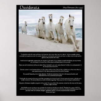 Caballos de Desiderata corriendo Posters