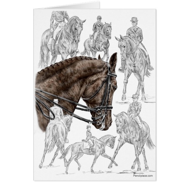 Caballos de Dressage recopilados FEI (Frente)