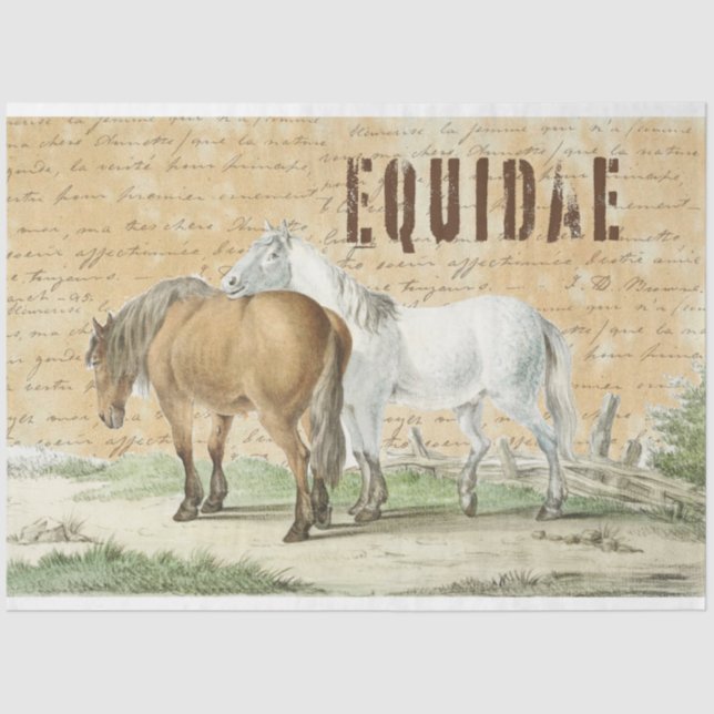 Caballos de época en papel de tejido pastoral (Anverso)