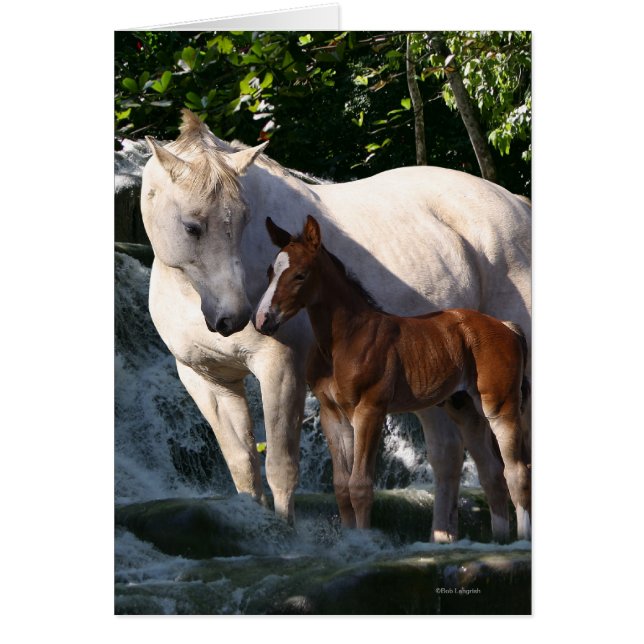 Caballos de fantasía: Cascada (Frente)