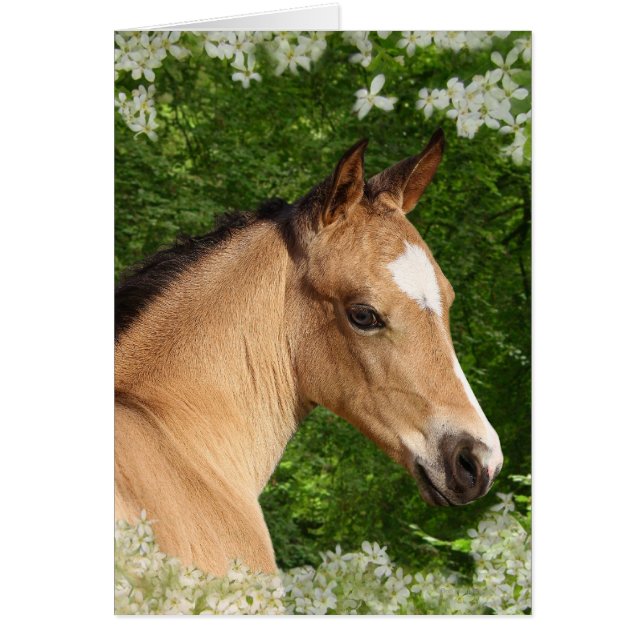 Caballos de fantasía: Flores (Frente)