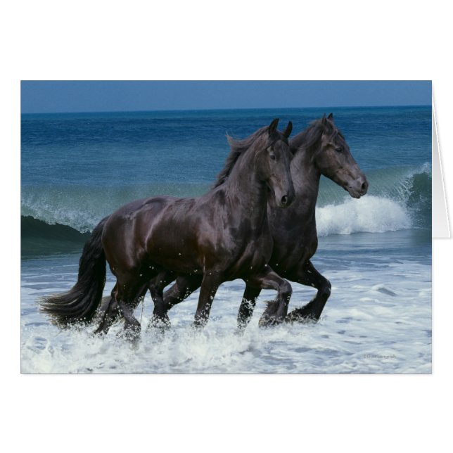 Caballos de fantasía: Friesianos y mar (Anverso (Horizontal))