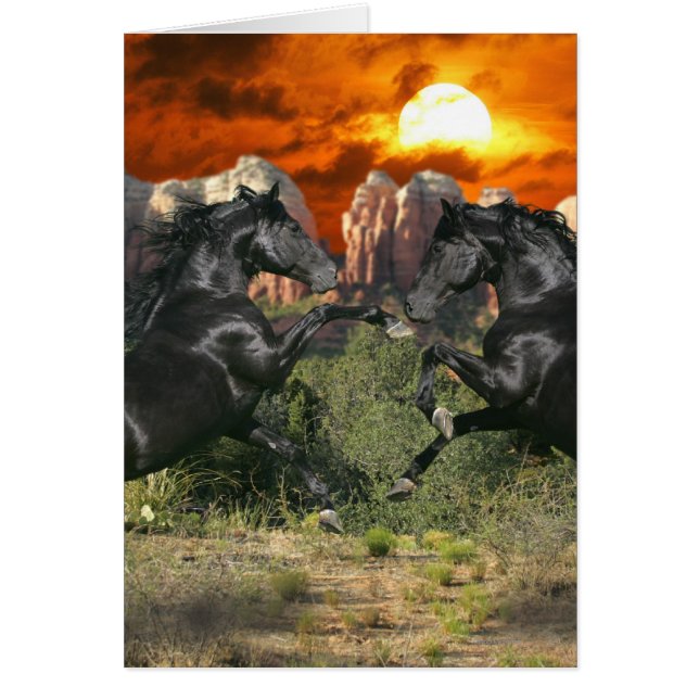 Caballos de fantasía: magia negra (Frente)