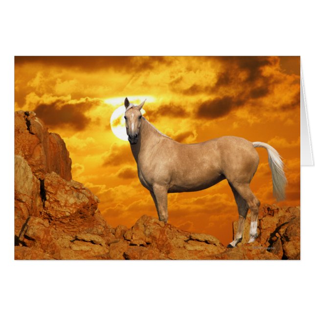 Caballos de fantasía: Montaña (Anverso (Horizontal))