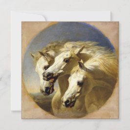 Caballos de Faraón 1848 JF Herring, Tarjeta Hi-Def