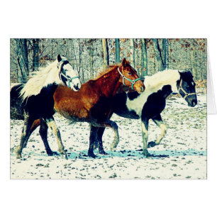 Caballos de invierno
